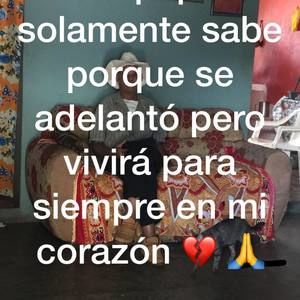 Meet your Posher, Venancio